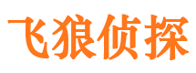 鹿泉私人侦探